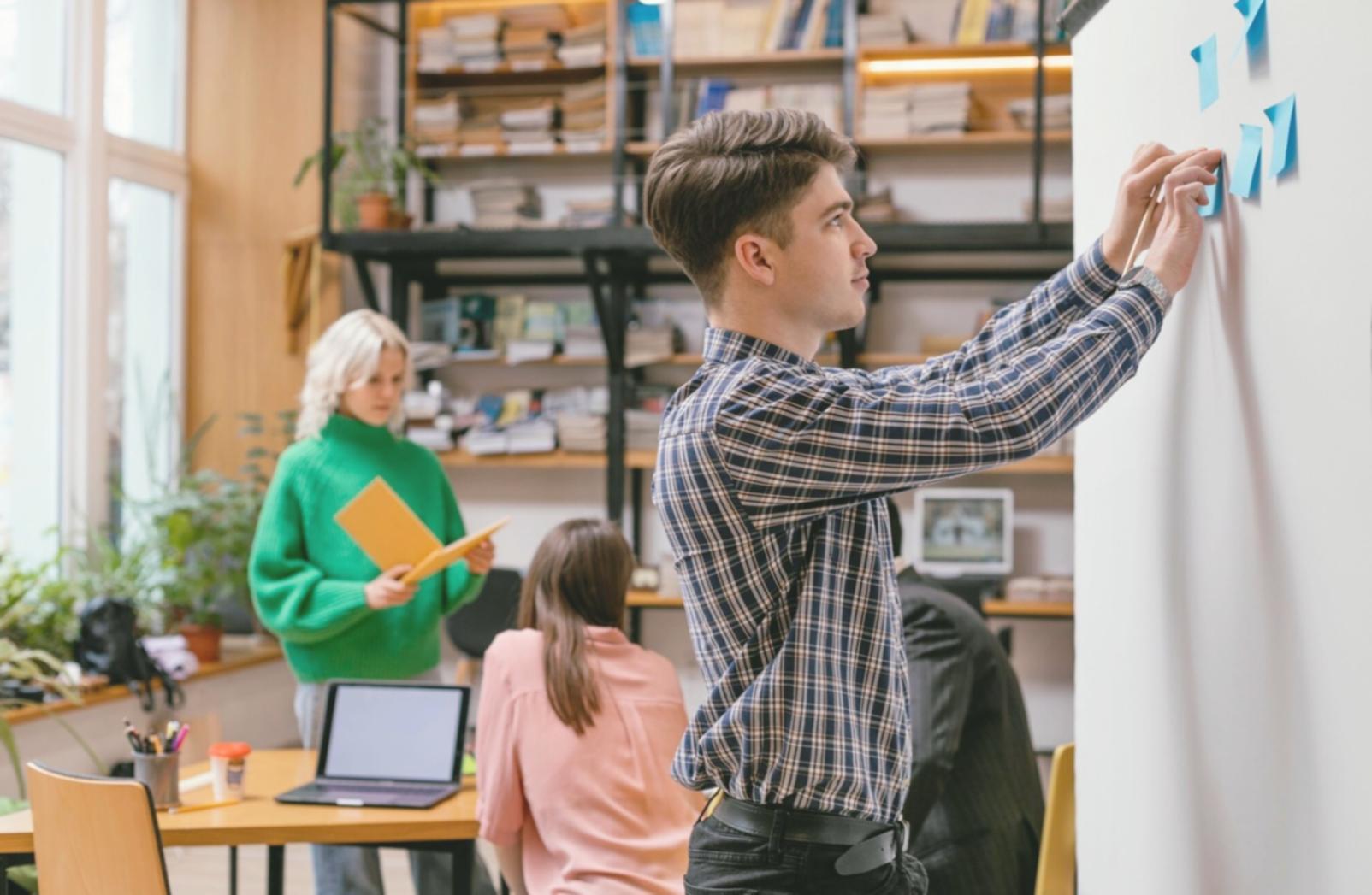 Professional testing environment setup